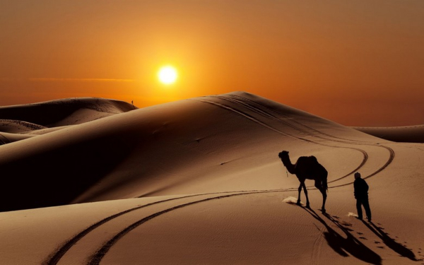 Hoàng Hôn Trên Sa Mạc Dubai Có Gì Cuốn Hút? Khung Giờ Và Điểm Ngắm Đẹp