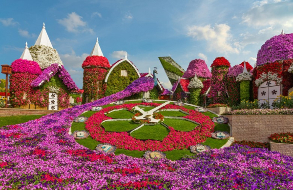 Vườn Hoa Miracle Garden Dubai: Mùa Hoa Nở, Giá Vé Và Lưu Ý Tham Quan