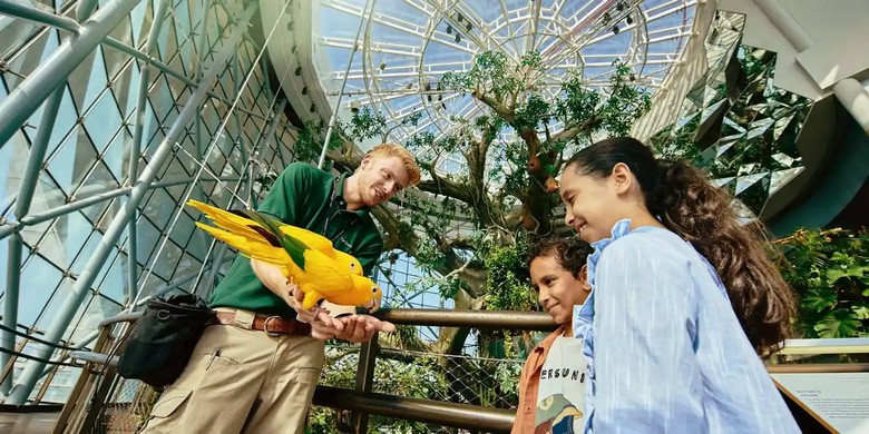 Trẻ em quan sát động vật tại khu rừng nhiệt đới trong nhà The Green Planet
