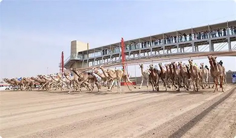 Khán giả đứng dọc đường đua Al Marmoum cổ vũ buổi sáng cuối tuần