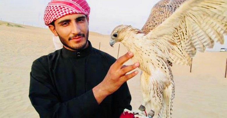 Chim ưng huấn luyện truyền thống đậu trên tay người huấn luyện tại Dubai
