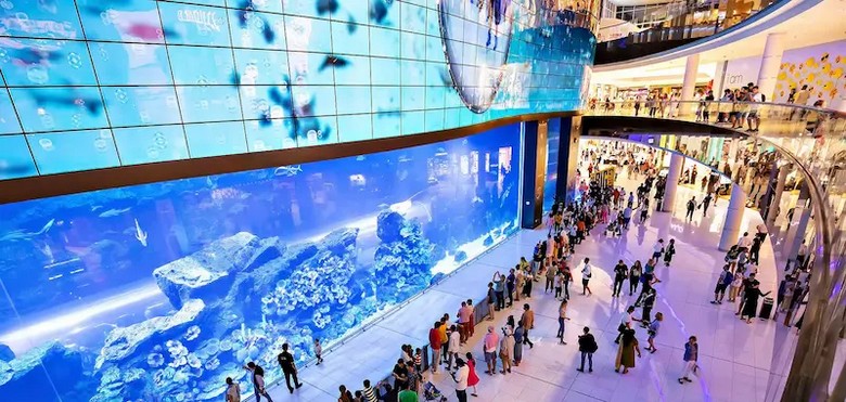  Bể cá khổng lồ của thủy cung Dubai Aquarium nhìn từ sảnh Dubai Mall