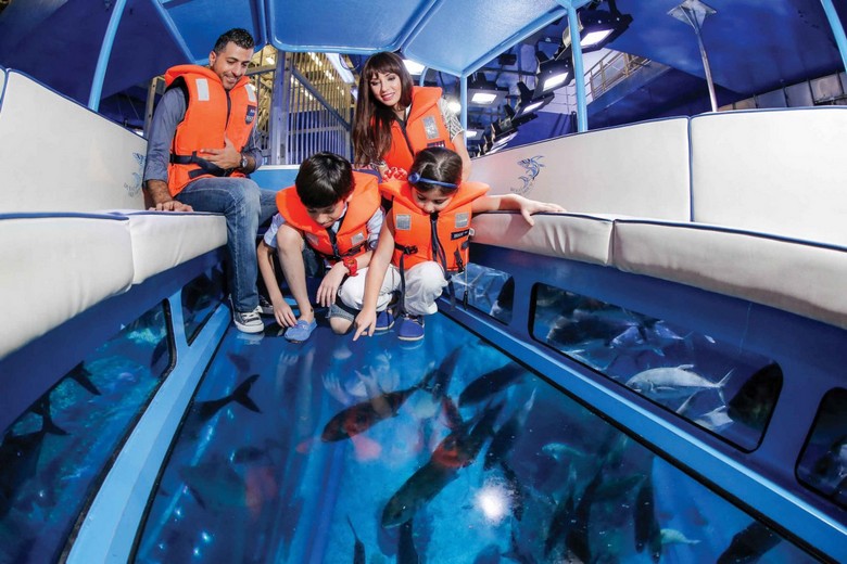 Thuyền đáy kính lướt trên bể cá thủy cung Dubai Aquarium