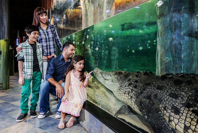 Khu Underwater Zoo trên tầng 2 với cá sấu khổng lồ King Croc
