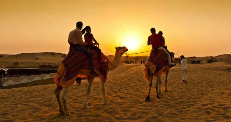 Khách cưỡi lạc đà trên sa mạc Dubai vào buổi chiều