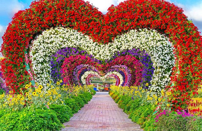 Luống hoa nhiều màu sắp xếp thành hình trái tim tại Miracle Garden