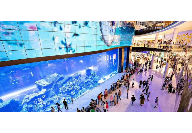  Bể cá khổng lồ của thủy cung Dubai Aquarium nhìn từ sảnh Dubai Mall