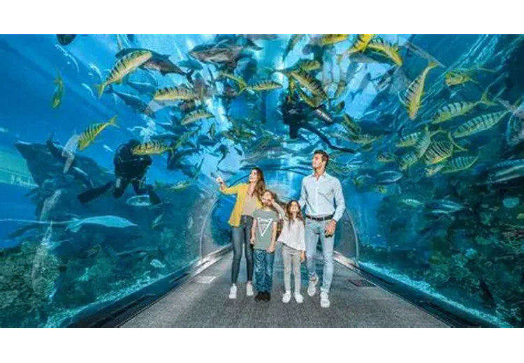 Gia đình có trẻ nhỏ vui chơi tại một khu giải trí trong nhà ở Dubai