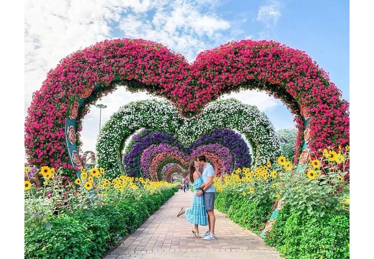 Khách chụp ảnh kỷ niệm giữa các luống hoa tại Miracle Garden