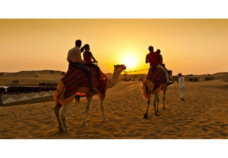 Khách cưỡi lạc đà trên sa mạc Dubai vào buổi chiều