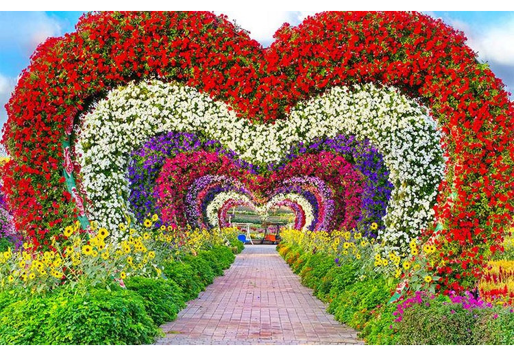 Luống hoa nhiều màu sắp xếp thành hình trái tim tại Miracle Garden