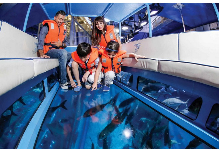 Thuyền đáy kính lướt trên bể cá thủy cung Dubai Aquarium