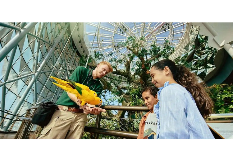Trẻ em quan sát động vật tại khu rừng nhiệt đới trong nhà The Green Planet